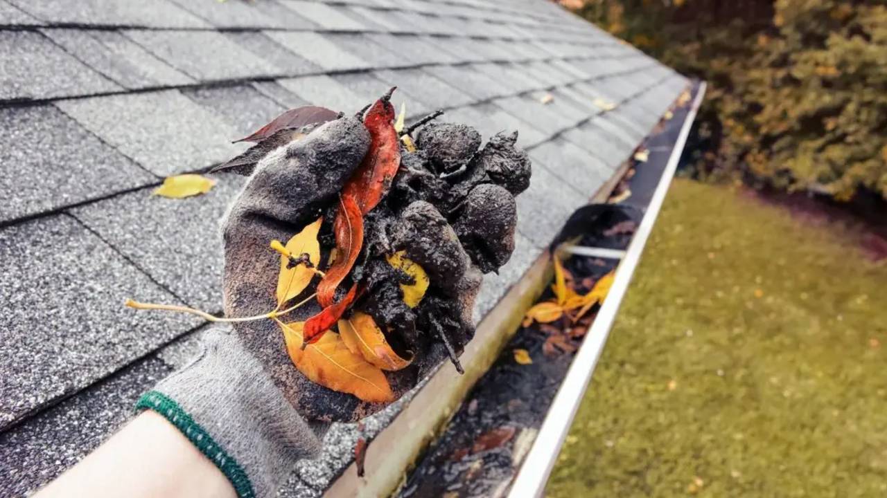 Gutter Services